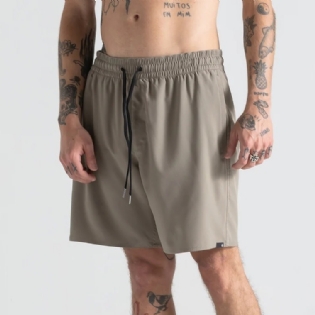 Short Volcom Sparklestone Ew Hybrida Imp Vlbm040042 Brindle