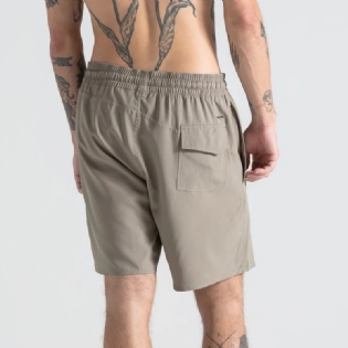 Short Volcom Sparklestone Ew Hybrida Imp Vlbm040042 Brindle